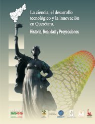 La ciencia, el desarrollo tecnoló§©£o y la innovació® ¥n Querêµ¡ro ... - Concyteq