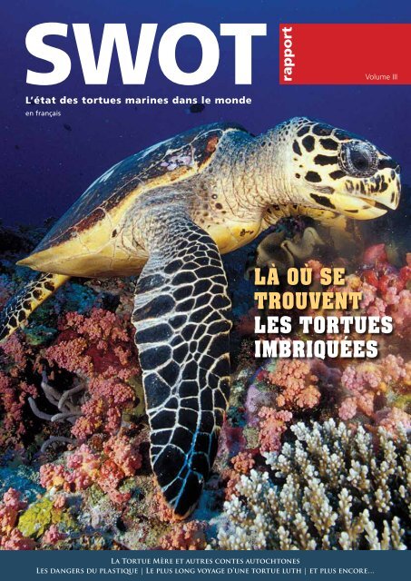 Tortue imbriquÃ©e - The State of the World's Sea Turtles