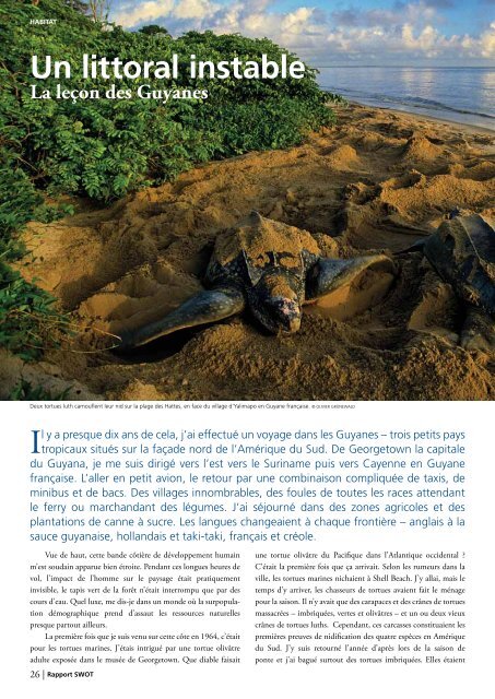 Tortue imbriquÃ©e - The State of the World's Sea Turtles