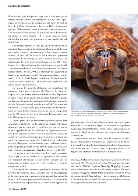 Tortue imbriquÃ©e - The State of the World's Sea Turtles