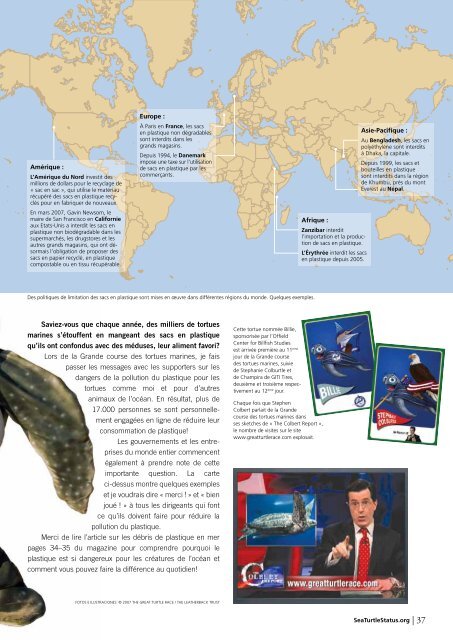 Tortue imbriquÃ©e - The State of the World's Sea Turtles
