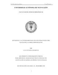 Download - Repositorio Institucional UANL - Universidad AutÃ³noma ...