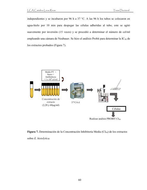 Download - Repositorio Institucional UANL - Universidad AutÃ³noma ...