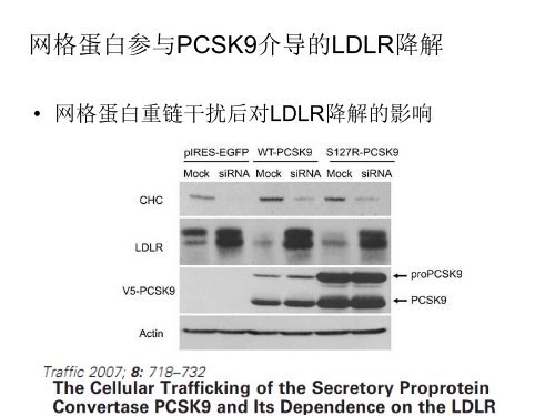 PCSK9 蛋白在动脉粥样硬化中的作用 - abc