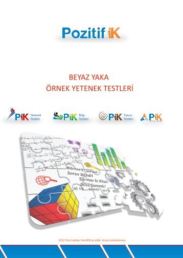 Ornek-Beyaz-Yaka-Yetenek-Testleri