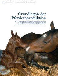 Grundlagen der Pferdereproduktion - Peter Richterich