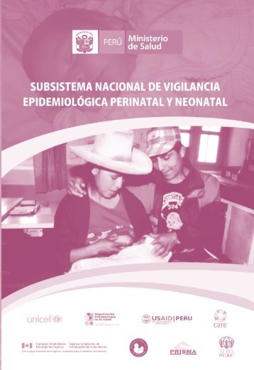 Subsistema nacional de vigilancia epidemiolÃ³gica perinatal y ...