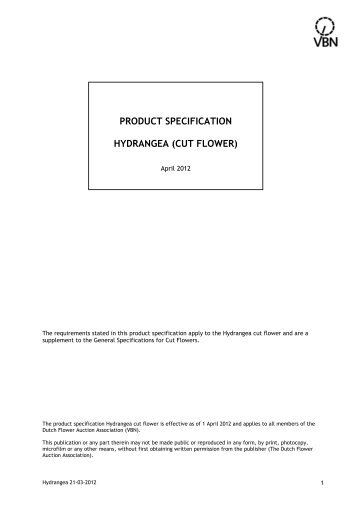 Hydrangea, cut flower - Vbn