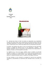 Boceto Final2 Indd Wines Of Argentina