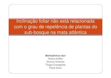 Inclinação foliar não está relacionada com o grau de repelência de ...