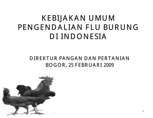 Kebijakan Umum Pengendalian Flu Burung Di Indonesia
