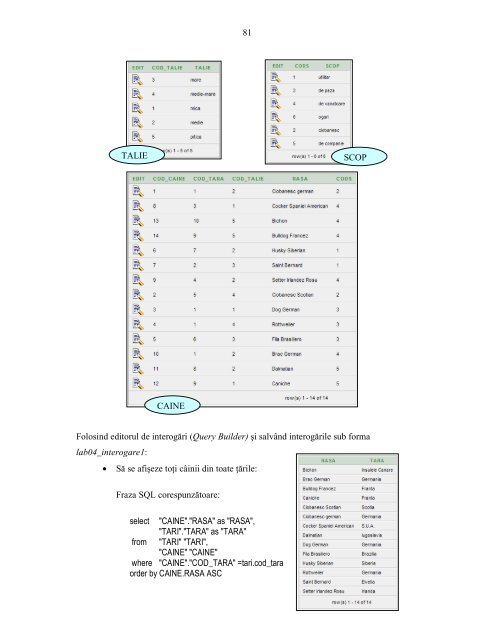 Capitolul IV Limbajul PL/SQL