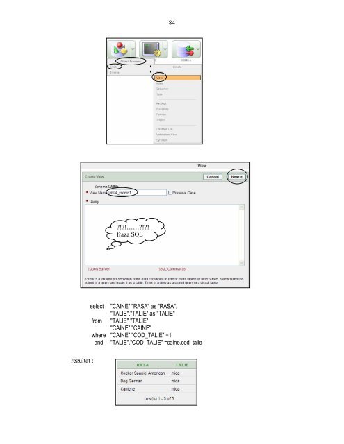 Capitolul IV Limbajul PL/SQL