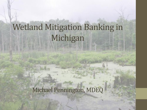 Wetland Mitigation Banking in Michigan