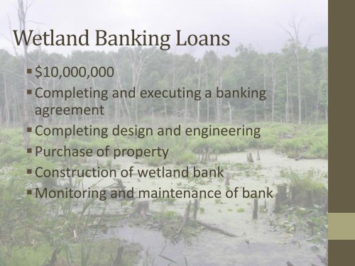 Wetland Mitigation Banking in Michigan