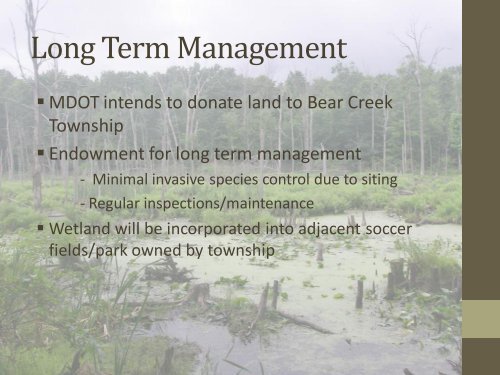 Wetland Mitigation Banking in Michigan