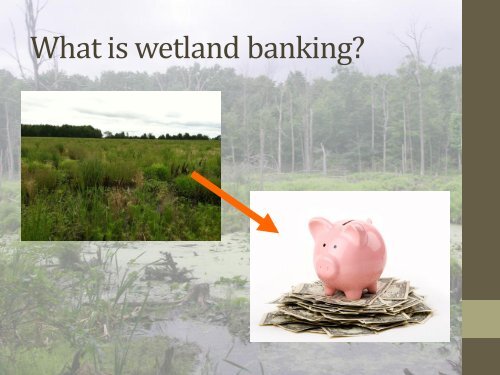 Wetland Mitigation Banking in Michigan