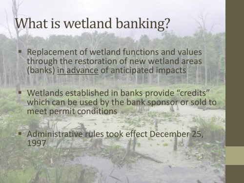 Wetland Mitigation Banking in Michigan