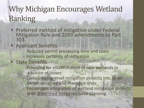 Wetland Mitigation Banking in Michigan