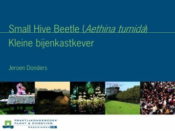 Kleine bijenkastkever - Wageningen UR
