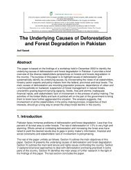 The Underlying Causes of Deforestation and Forest Degradation in ...