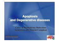 Apoptosis and Degenerative Diseases - Bgbunict.it