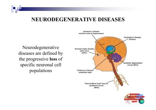 Apoptosis and Degenerative Diseases - Bgbunict.it