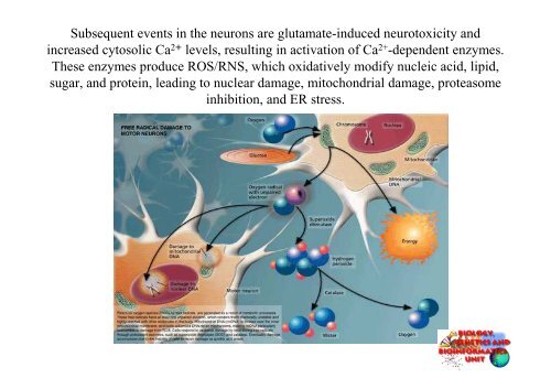 Apoptosis and Degenerative Diseases - Bgbunict.it