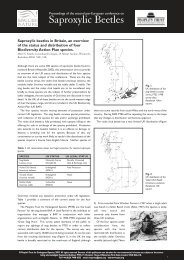 saproxylic beetles in Britain, an overview of the status and ...