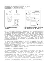 Dispense seconda esercitazione - Corso di Laurea in Biologia