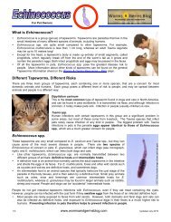 What is Echinococcus? - Worms and Germs Blog