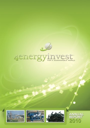 Annual report 2010 - 4Energy Invest