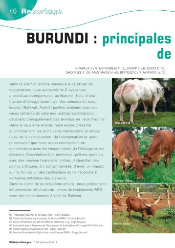 BURUNDI : principales de - AWE