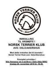 NORSK TERRIER KLUB