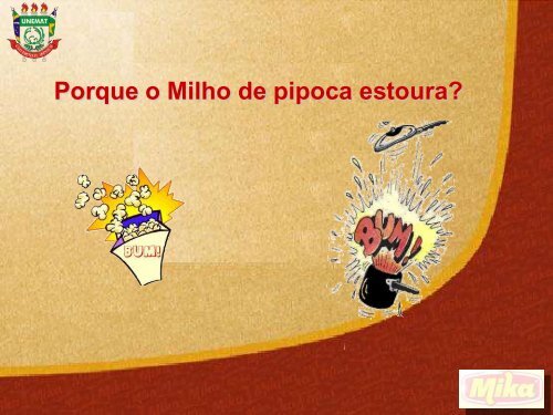 Qualidade na industrializaÃ§Ã£o do milho pipoca - UNEMAT