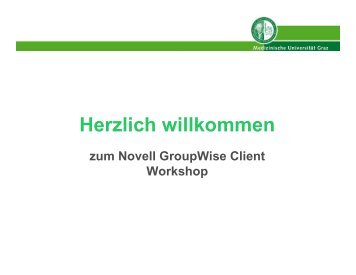 Client-Workshop-Unterlagen - EDIS