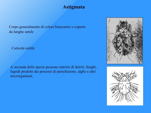 Qualità Biologica dei Suoli - Tec.bio