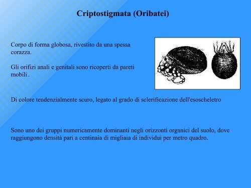 Qualità Biologica dei Suoli - Tec.bio