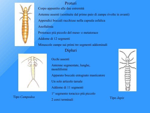 Qualità Biologica dei Suoli - Tec.bio