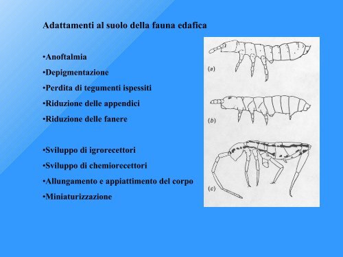 Qualità Biologica dei Suoli - Tec.bio