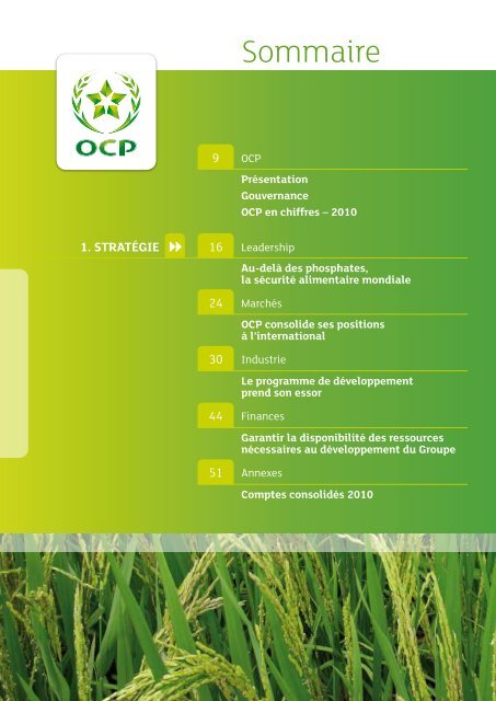 Rapport annuel 2010.pdf - ocp