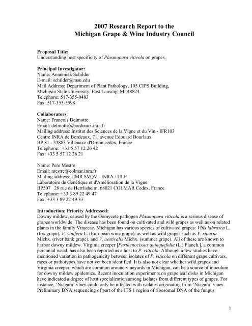 Understanding host specificity of Plasmopara ... - Michigan Wines