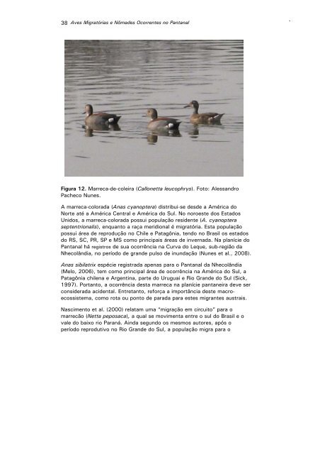 aves migratÃ³rias e nÃ´mades ocorrentes no pantanal - Sociedade ...