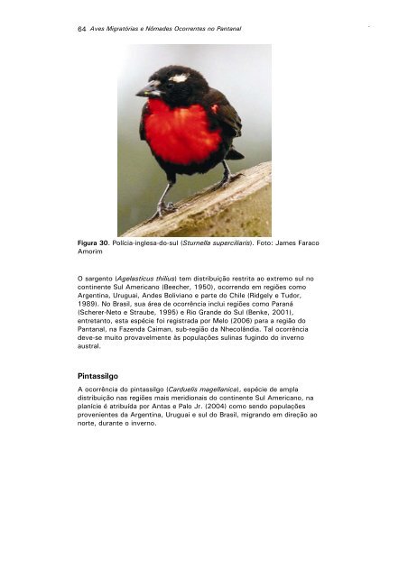 aves migratÃ³rias e nÃ´mades ocorrentes no pantanal - Sociedade ...