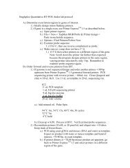 Quantitative RT-PCR Andes lab protocol