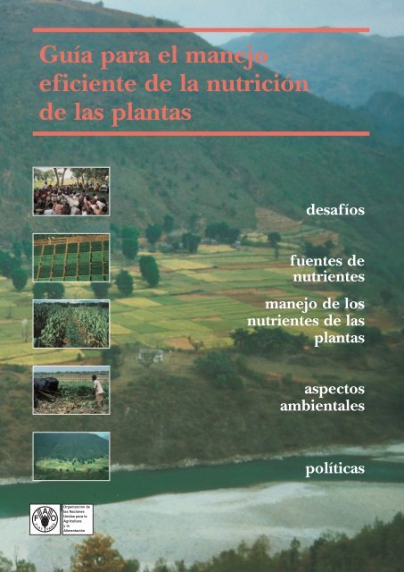 GuÃ­a para el manejo eficiente de la nutriciÃ³n de las plantas - FAO.org