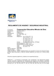 Reglamento De Higiene Y Seguridad Industrial CEMID