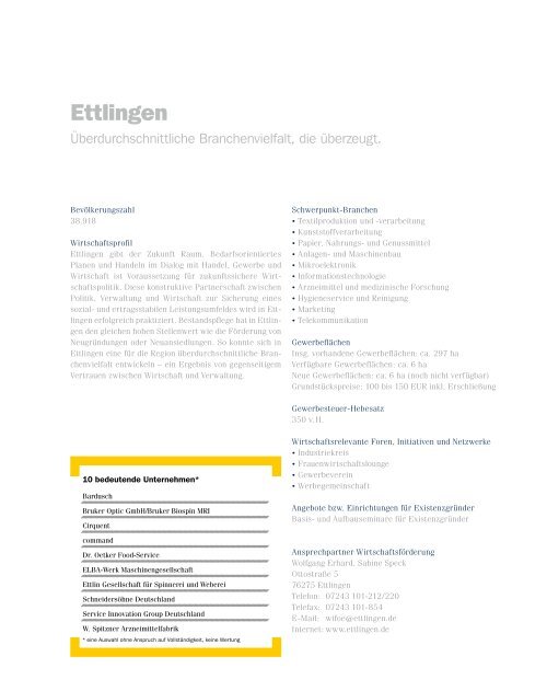 Daten und Fakten Flyer deutsch - TechnologieRegion Karlsruhe