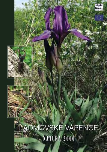 LADMOVSKÉ VÁPENCE - ŠOP SR