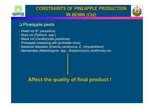 constraints of pineapple production - CoQA